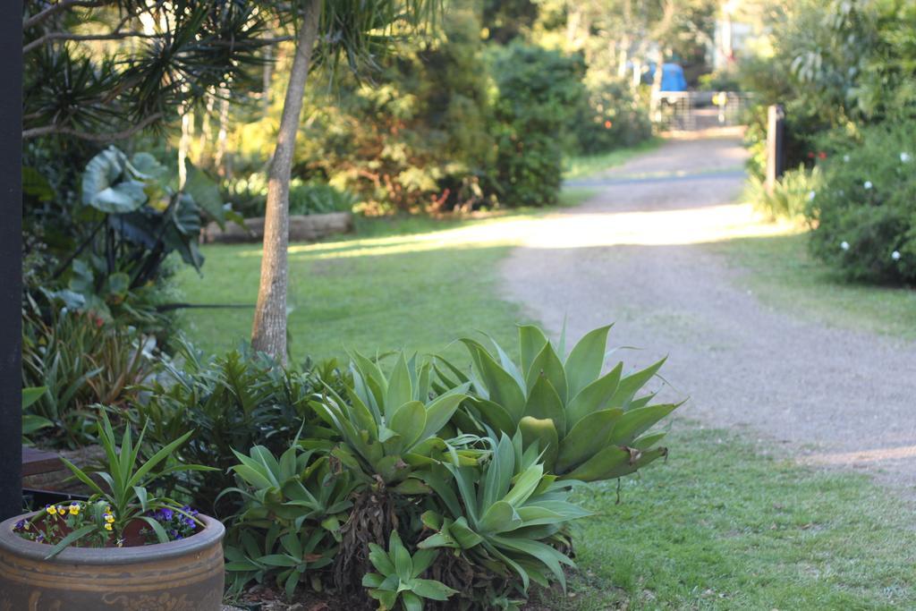 Apartmán Pk Illusions Maleny Exteriér fotografie